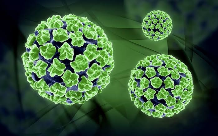 HPV