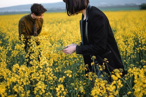 تاثیر طبیعتگردی بر روابط